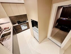 Upperhouse At Orchard Boulevard (D10), Apartment #455399721